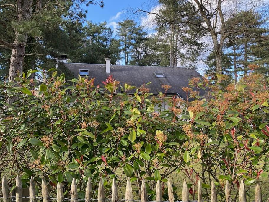 Le Rosa: Villa De Charme Entre Mer Et Pinede Quend Exterior foto